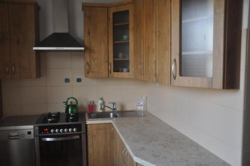 uma cozinha com armários de madeira, um fogão e um lavatório em Apartament przy Parku Czartoryskich em Puławy