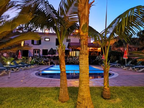 a group of palm trees in front of a pool at Casa da Capelinha in Ponta Delgada