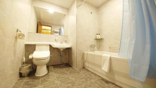 YangYang International Airport Hotel tesisinde bir banyo