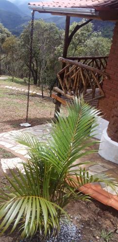 a palm plant sitting next to a swing at Recanto do Leão in Alagoa