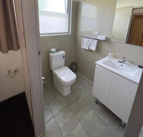 a bathroom with a white toilet and a sink at Gulgong Motel in Gulgong