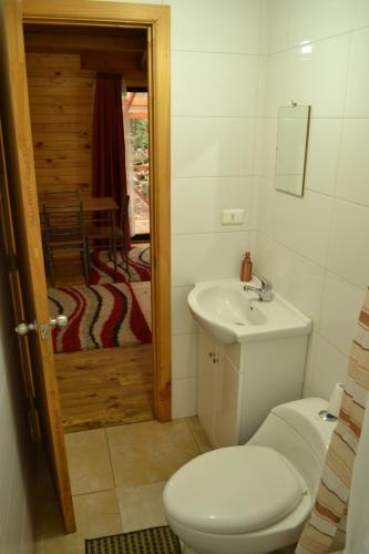 Un baño de Cabañas Los Cuatro Robles