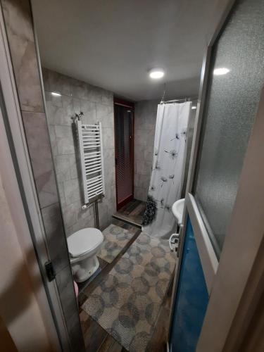 a small bathroom with a toilet and a shower at Vikendica Ole in Pale