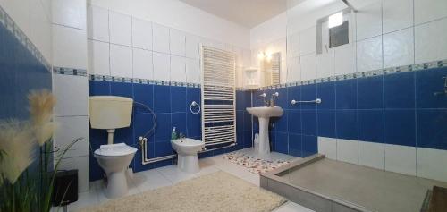 Gallery image of Apartament Casa Teo in Şarul Dornei