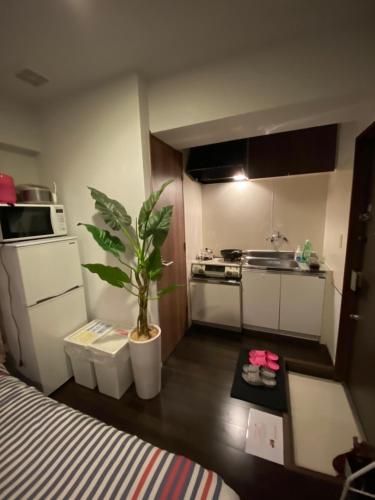a small kitchen with a potted plant in a room at Takemura Building 2nd floor in Tokyo