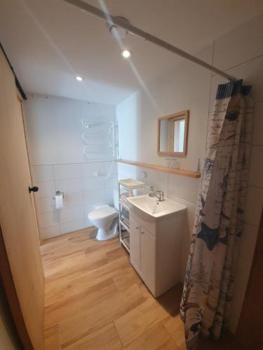 uma pequena casa de banho com WC e lavatório em Grape House Kintai em Kintai
