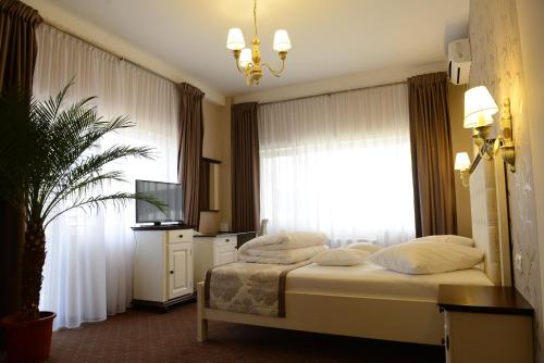 a bedroom with a bed with a television and a window at Hotel Europa in Baia Mare