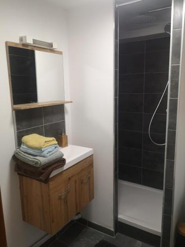 une salle de bain avec un lavabo et une douche dans l'établissement Appartement sur jardin au calme à Pernes 1 chambre, à Pernes