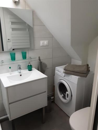 ein Badezimmer mit einem Waschbecken und einer Waschmaschine in der Unterkunft CHARMANT APPARTEMENT in Thonon-les-Bains