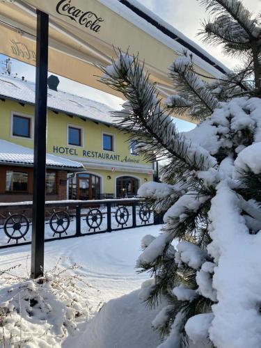 a snow covered tree in front of a hotel restaurant at Hotel Admiral in Lipno nad Vltavou