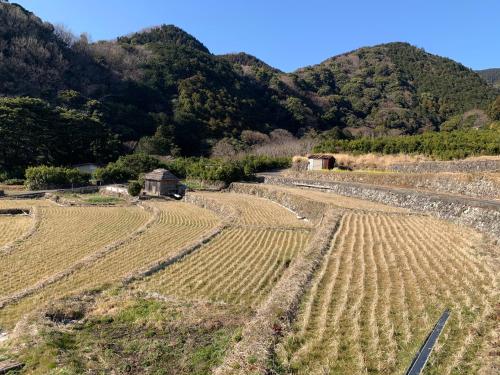 an agricultural field with a barn and mountains in the background at uminca ウミンカ in Numazu