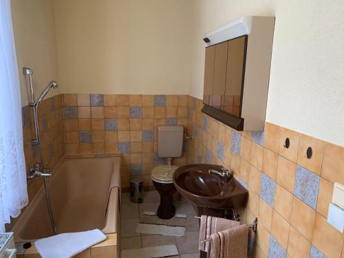 a bathroom with a sink and a tub and a toilet at Ferienwohnungen Rießling in Elend