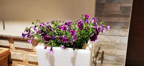 a white planter with purple flowers in it at Perla del Sud - Guest House in Lampedusa