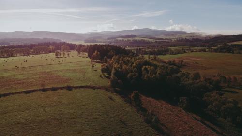 an aerial view of a field with trees and hills at Wilczarz in Duszniki Zdrój