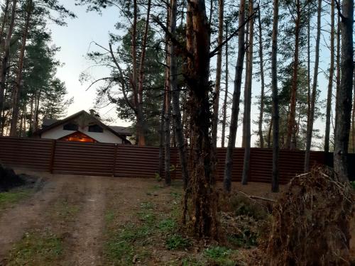 a house in the woods with a fence at Дом в лесу на берегу Днепра для отдыха с купелью на дровах, аппартоменты in Budishche