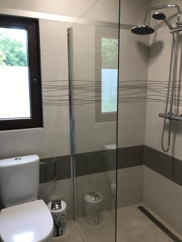 La salle de bains est pourvue de toilettes et d'une douche en verre. dans l'établissement „ Lawendowy zakątek”/„Lavender cottage” in Żywiec, à Żywiec