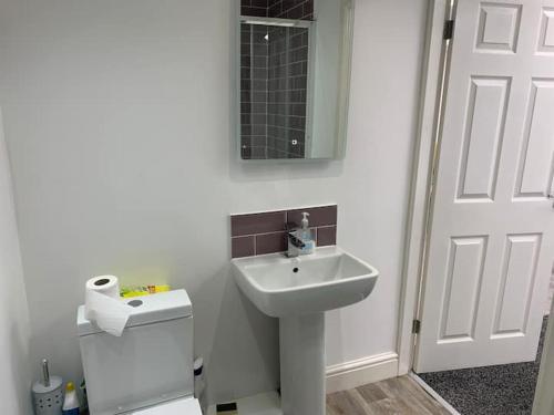 a bathroom with a sink and a toilet and a mirror at Huge studio close to city centre with free secure parking in Leeds