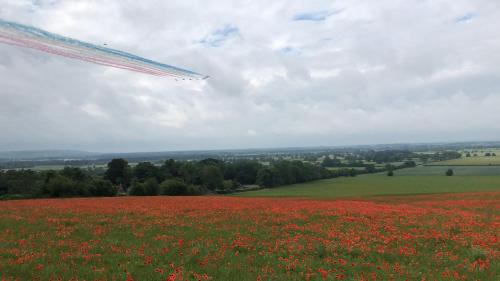a kite flying over a field of red flowers at The Old Granary in Barnetby le Wold