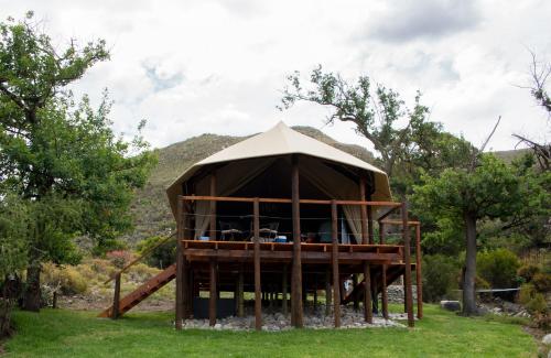 a large tent in the middle of a field at Oakron at Patatsfontein Stay in Montagu