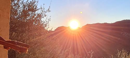 Chambres d'hôtes des Oliviers