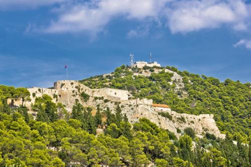 a castle on top of a hill with trees at Apartment in Sucuraj with sea view, balcony, air conditioning, WiFi 3560-1 in Sućuraj