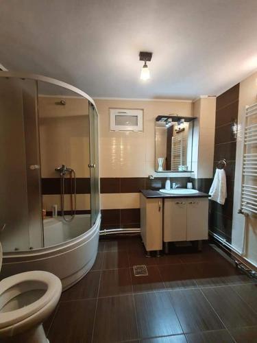 a bathroom with a shower and a toilet and a sink at Cabana Kodru in Vatra Dornei