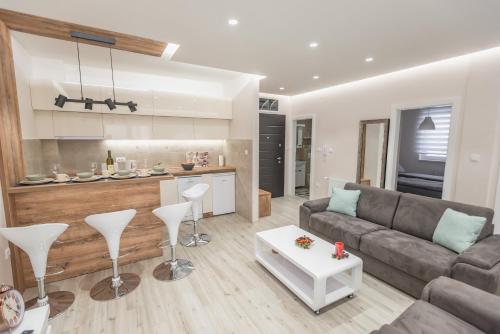 a living room with a couch and a kitchen at Apartment Ekatarina in Banja Koviljača