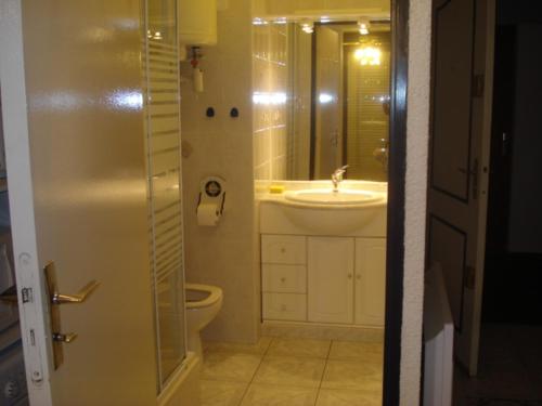 ル・グロー・ダグドにあるLe Galionのバスルーム(洗面台、トイレ、シャワー付)