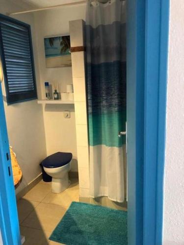 a bathroom with a toilet and a shower at studio Sainte Anne 2mn a pieds de la plage ,possibilité location de voiture in Sainte-Anne