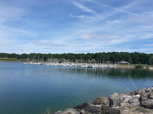 a group of boats are docked on a lake at Le Nichoir Lac du Der in Droyes