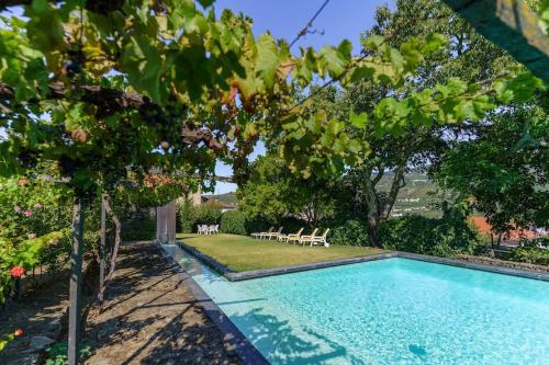 a swimming pool in a yard with trees at Quinta de Villa Franca - Douro in Peso da Régua