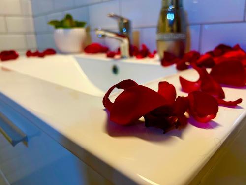 a bathroom sink with red flowers on the counter at Zöld Sziget Üdülőház in Egerszalók