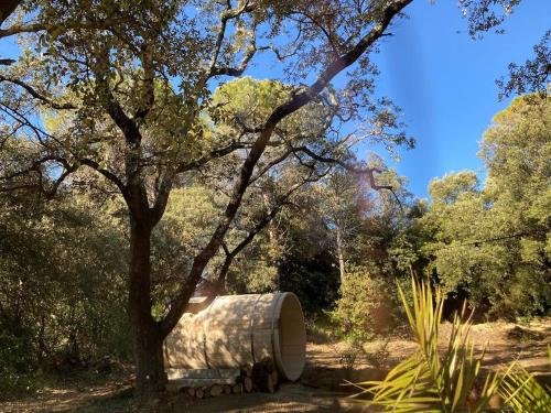 a barrel sitting under a tree in a field at Domaine La Tour - SPA - Jacuzzi - Sauna - Massage - 4 SAISONS - Piscine Chauffée Toute l'année - Heated POOL - 800m City Centre Nyons in Nyons