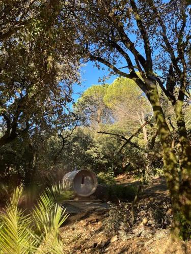 Un paisaje natural cerca of the bed and breakfast