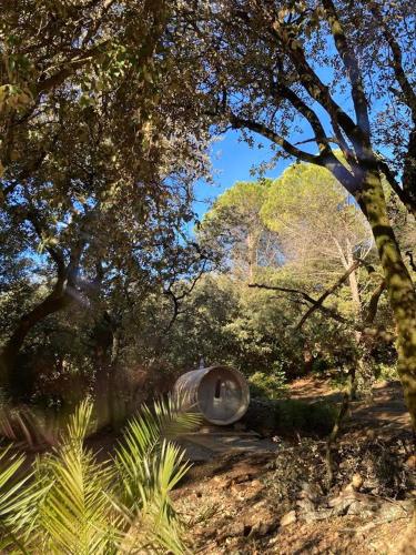 a view of a park with trees and a statue at La Viste - SPA-JACUZZI - MASSAGE- SAUNA - 4 SAISONS - Piscine Chauffée Toute l'année - Heated POOL - 800m City Centre in Nyons