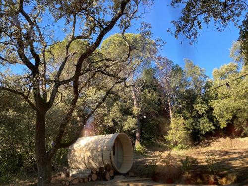a white barrel sitting next to a tree at Les Horizons - SPA-JACUZZI - MASSAGE- SAUNA - 4 SAISONS - Piscine chauffée Toute l'année - 800m centre ville Nyons in Nyons