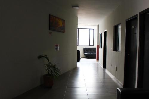 a hallway with a potted plant in a room at Hotel America 52 in Rionegro