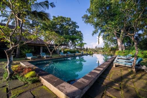 The Hidden Paradise Ubud - CHSE Certified tesisinde veya buraya yakın yüzme havuzu