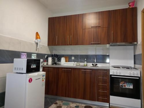 Кухня или мини-кухня в Apartman XXL
