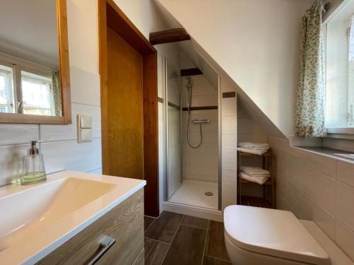 a bathroom with a toilet and a sink and a shower at Urlaub im Fachwerk - Das Sattlerhaus in Quedlinburg