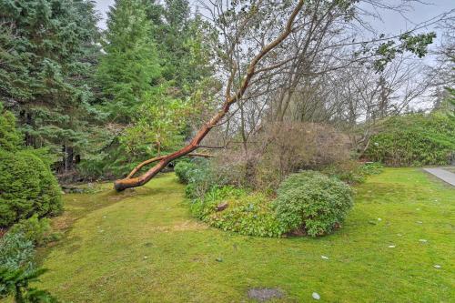 a tree laying on the grass in a yard at Edmonds Apartment with Private Wine Cellar! in Edmonds
