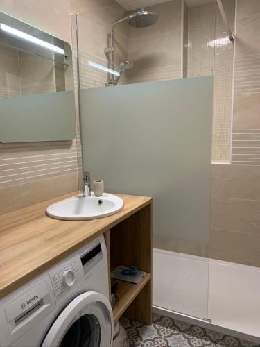 une salle de bain avec un lavabo et une machine à laver dans l'établissement El Mayul 2' centre, plage, WiFi, au calme, clim, parking,, à Collioure