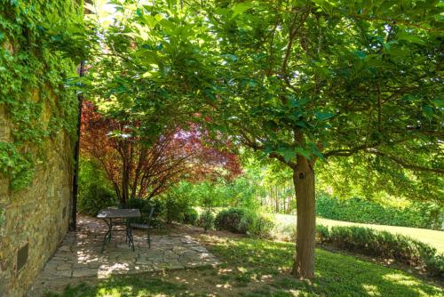 a bench sitting under a tree in a garden at Piccolo Borgo Gagnoni in Sinalunga