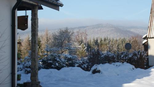 a view of a snowy yard with trees and mountains at Podołynia in Dwernik