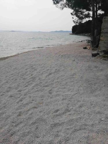 a sandy beach with a tree and a body of water at Ahoi House 7 in Drage