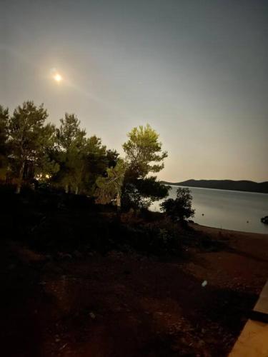 a view of a body of water with trees at Ahoi House 7 in Drage