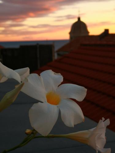 Amanecer o atardecer desde el hostal o pensión o alrededores