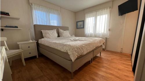 a bedroom with a bed and a television in it at Chalet Buutengeweun, met luxe JACUZZI en TONSAUNA in Sint Annaland
