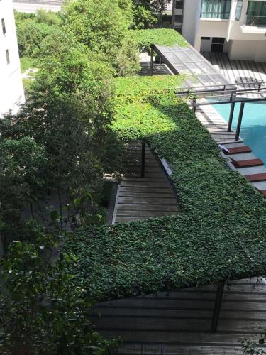 a bunch of plants on the steps of a building at HOMESTAY D'Univ 360 PLACE in Seri Kembangan