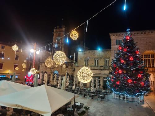 a christmas tree in front of a building at night at Apartment Agora in Zadar
